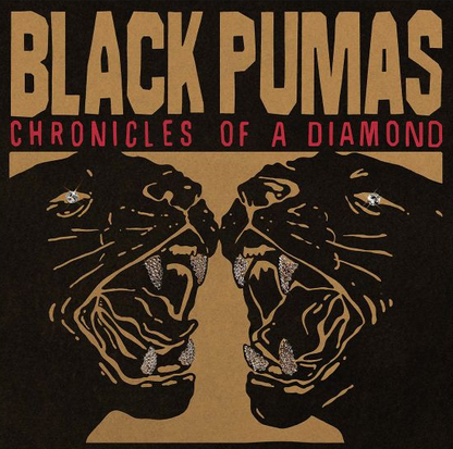 Black Pumas Vinyl Record - Sleeve Front