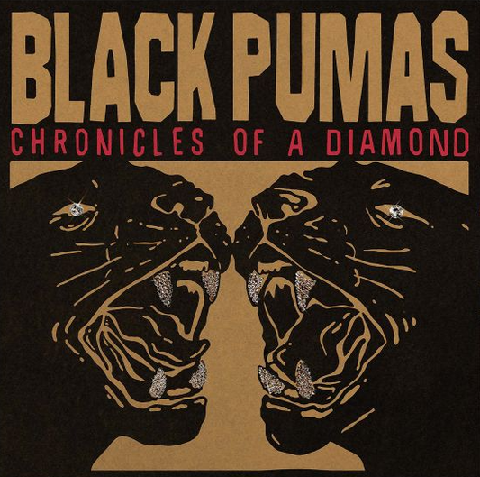 Black Pumas Vinyl Record - Sleeve Front