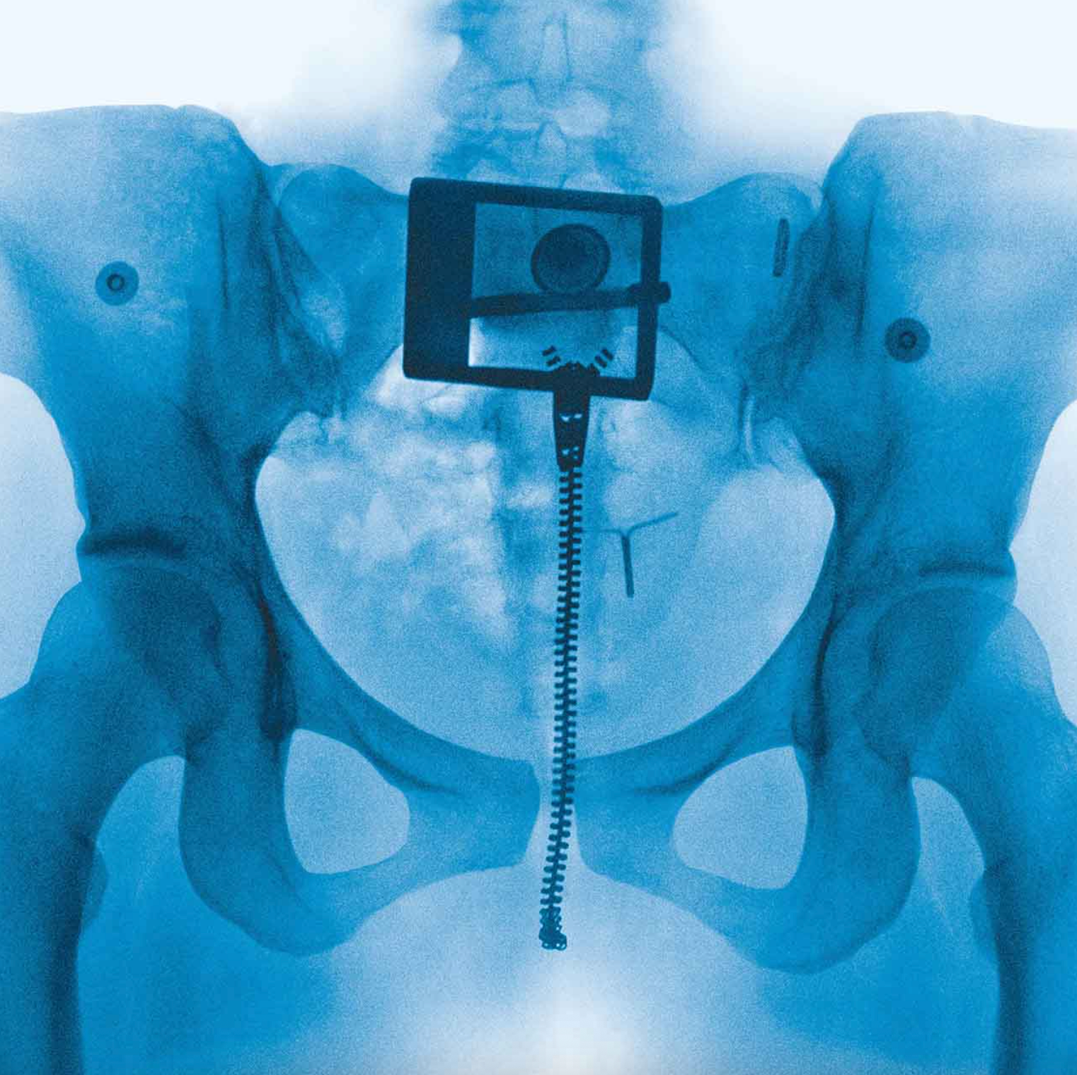 Lorde - Virgin | Vinyl Album