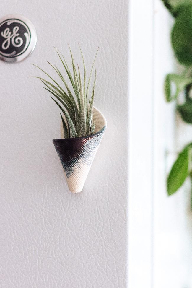 Carter + Rose Wall Planter, Magnet Collection