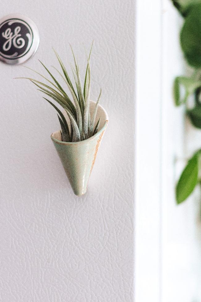 Carter + Rose Wall Planter, Magnet Collection