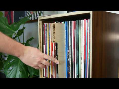 Vinyl Record Divider - Full Size