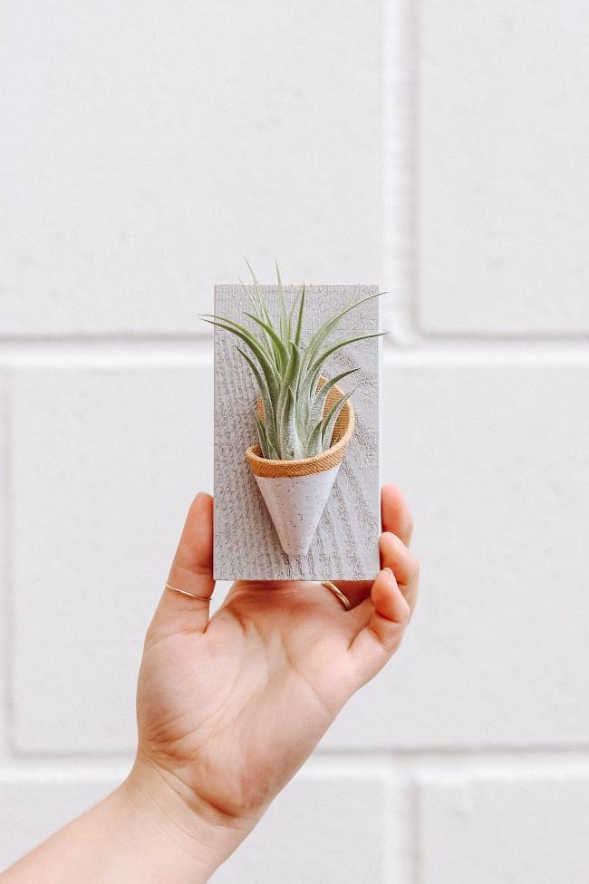Carter + Rose Ceramic Wall Planter, Tiny