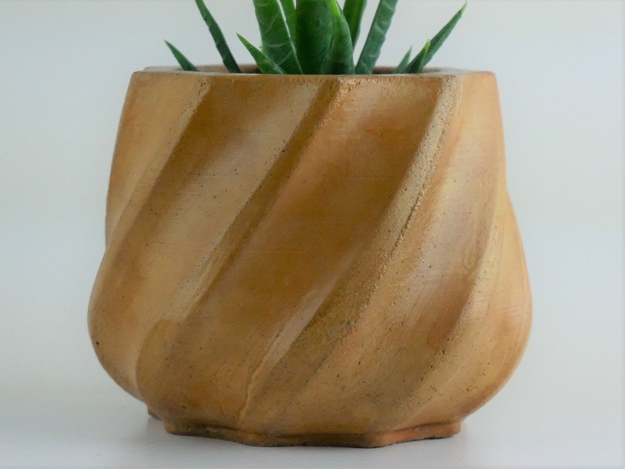 Nejire - Cement Planter - Planter - Liminal Goods