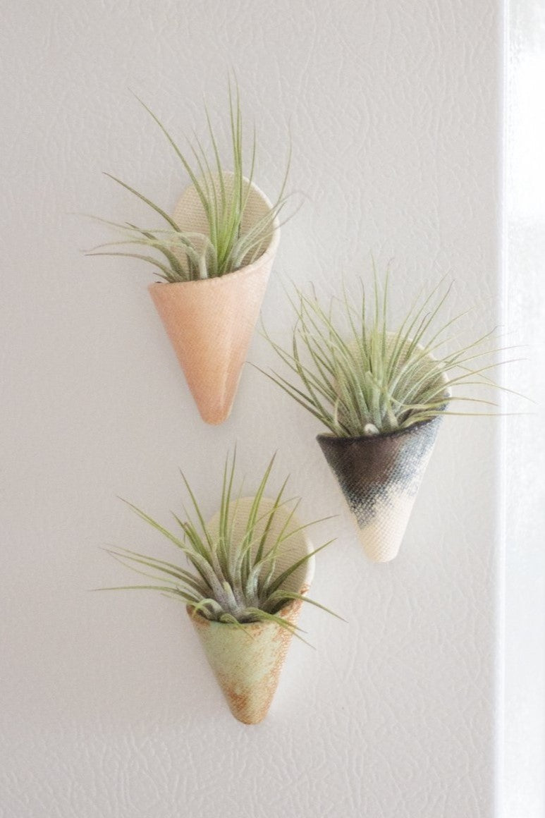 Carter + Rose Wall Planter, Magnet Collection