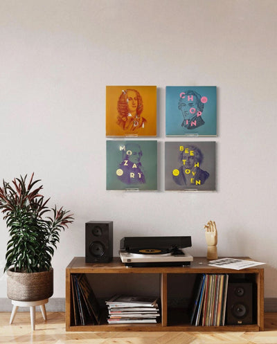 Double Vinyl Record Cover Display Mount