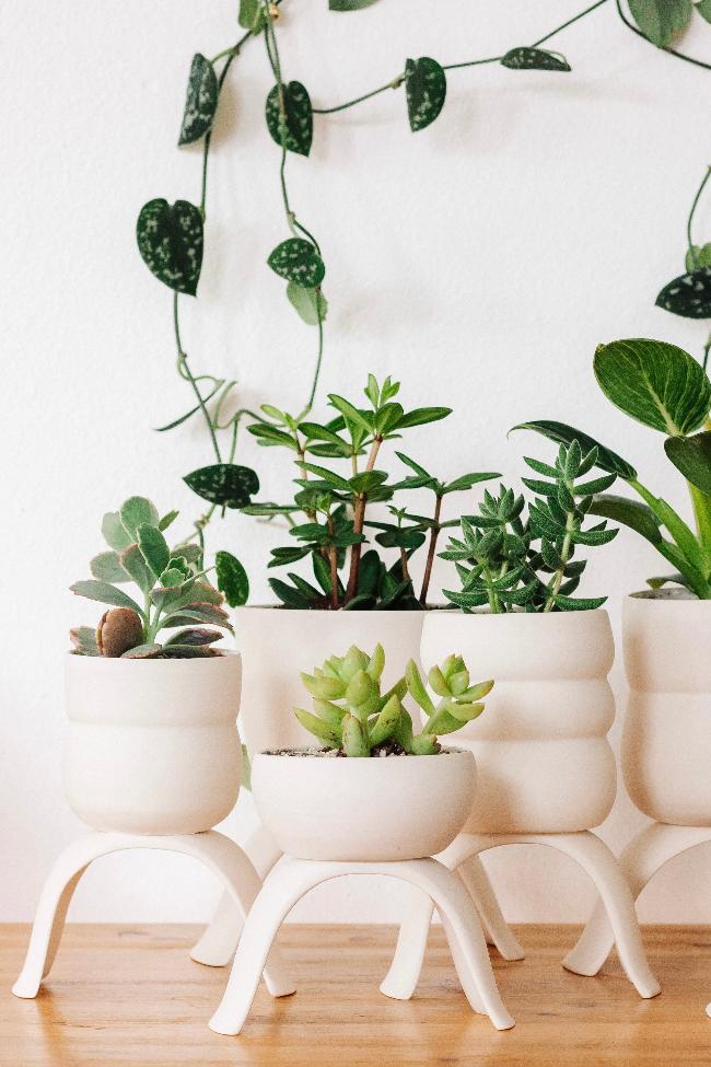 High Rise Plant Pots