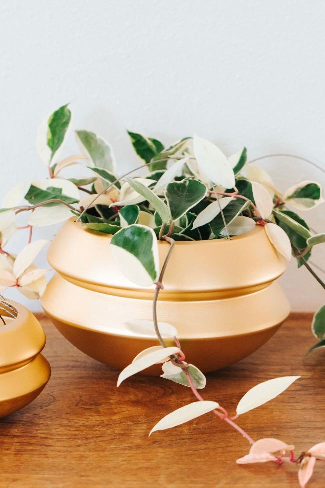 Halo Hanging Planter
