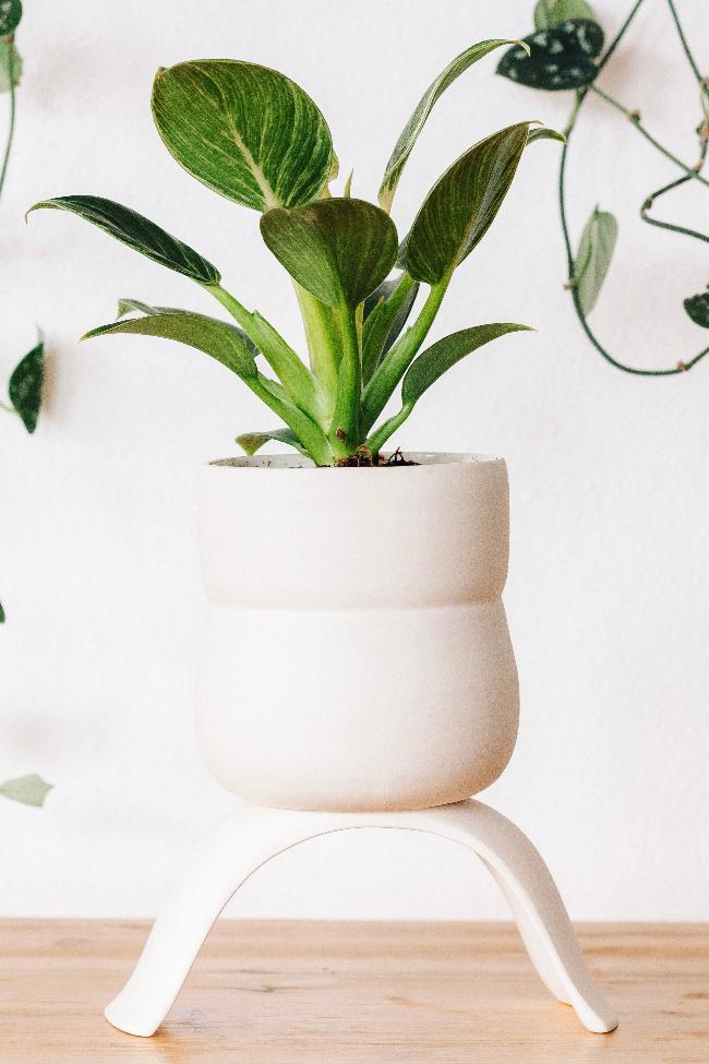 High Rise Plant Pots