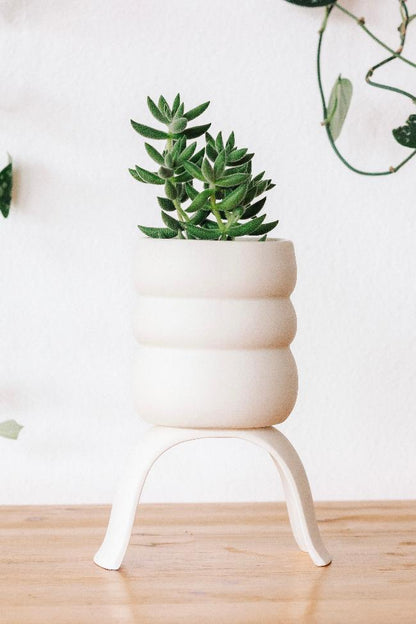 High Rise Plant Pots