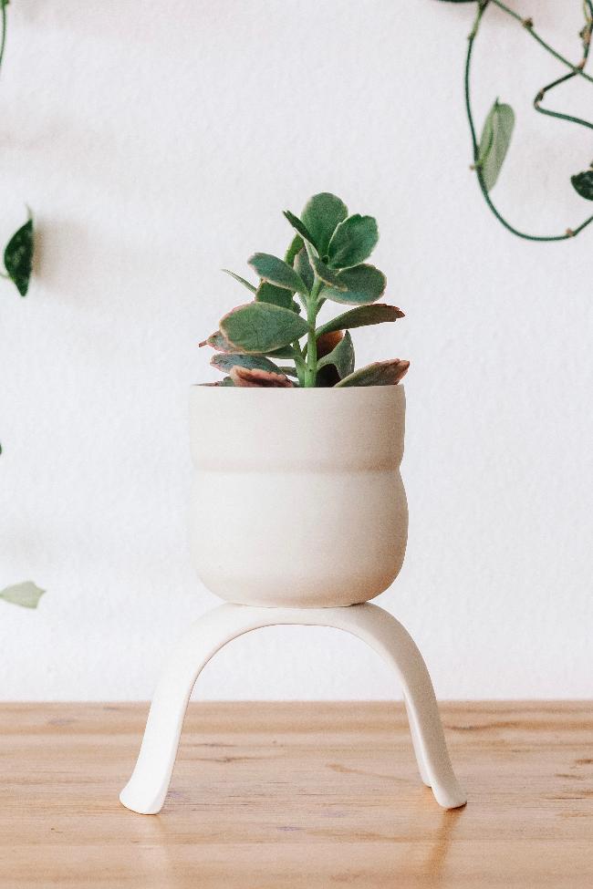 High Rise Plant Pots