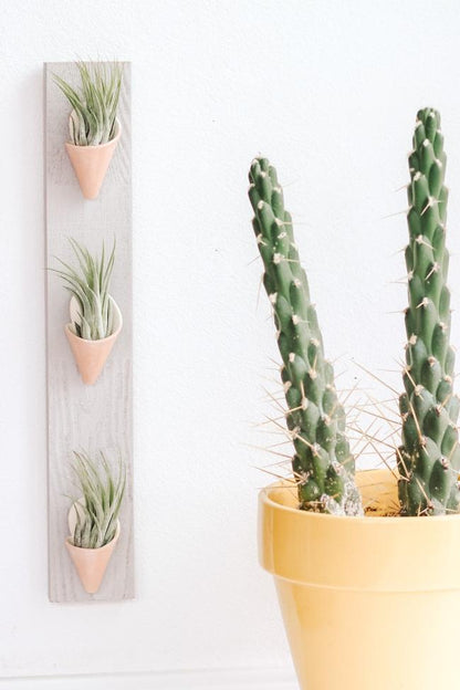 Carter + Rose Ceramic Wall Planter, Triple