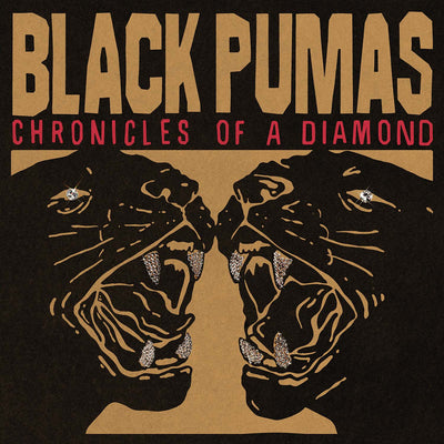 Chronicles of a Diamond Vinyl Record Sleeve
