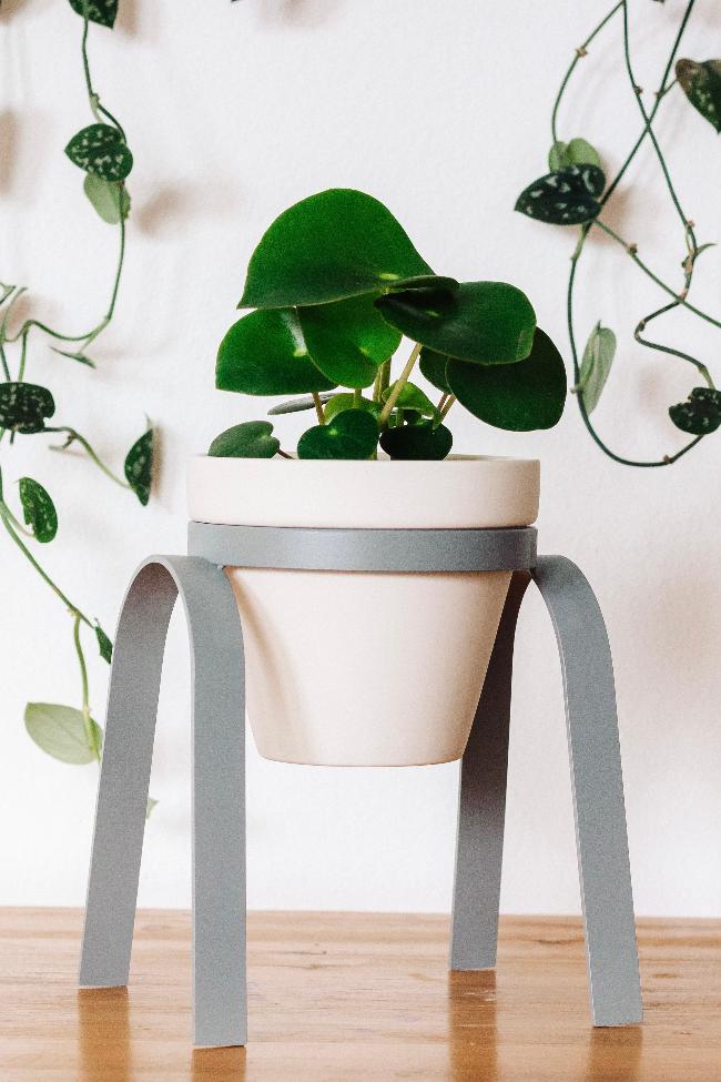 Perch Metal Plant Stand
