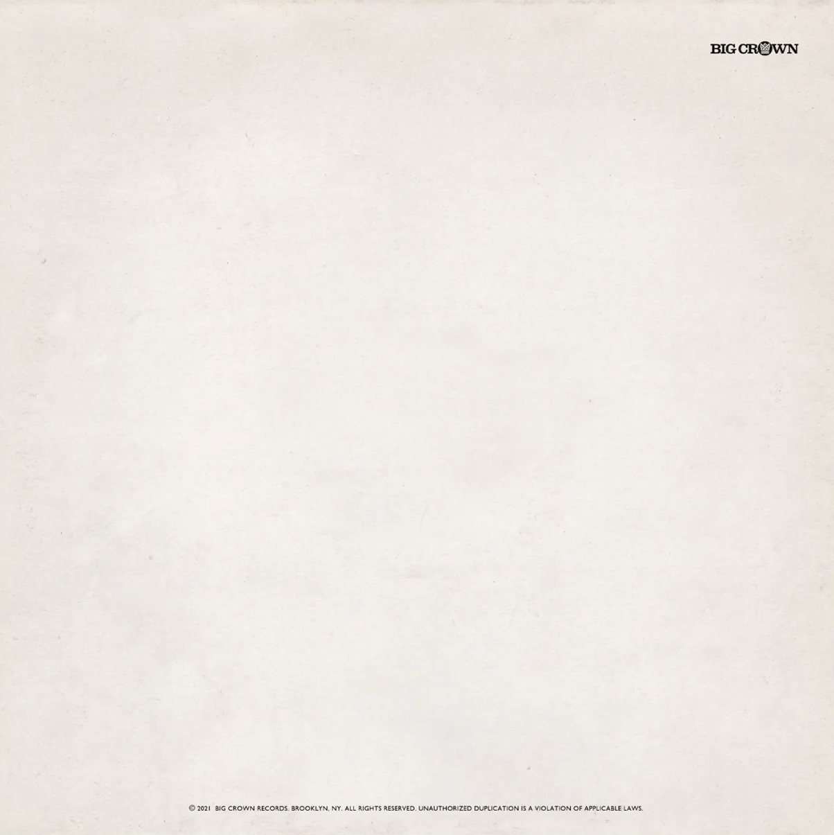 Demoitis Vinyl Record Sleeve Back