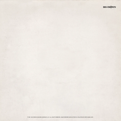 Demoitis Vinyl Record Sleeve Back