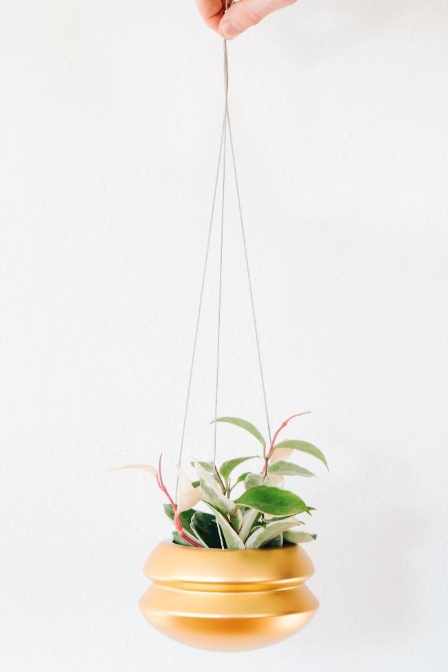 Halo Hanging Planter