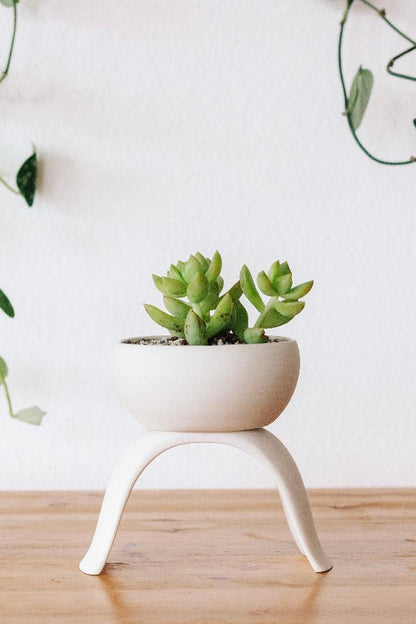 High Rise Plant Pots