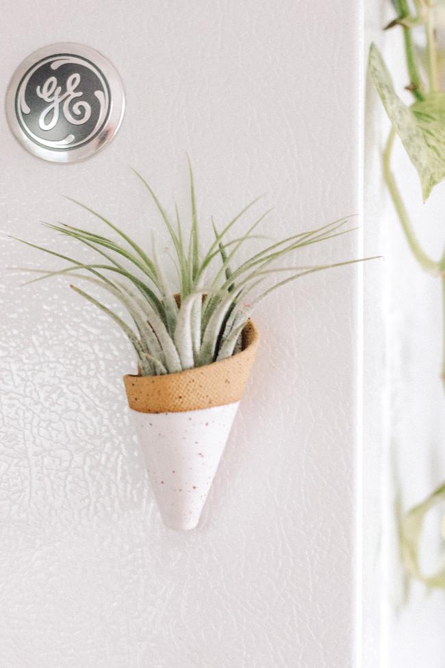 Carter + Rose Wall Planter, Magnet Collection