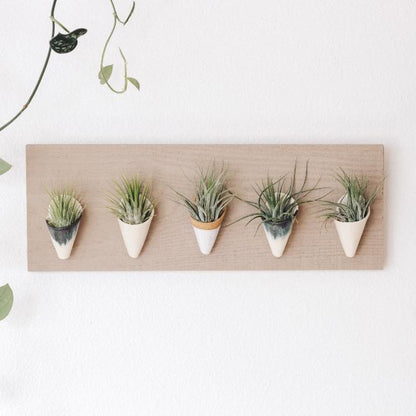 Carter + Rose, Horizontal Wall Planter
