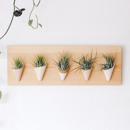 Carter + Rose, Horizontal Wall Planter