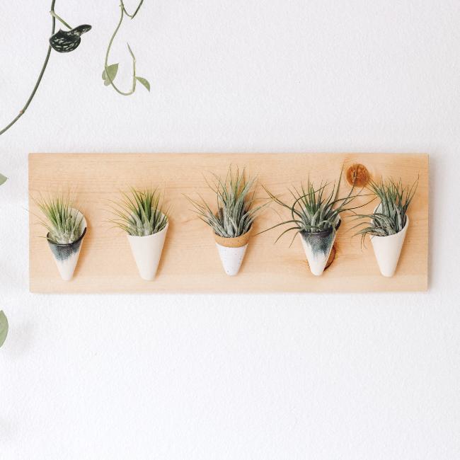 Carter + Rose, Horizontal Wall Planter