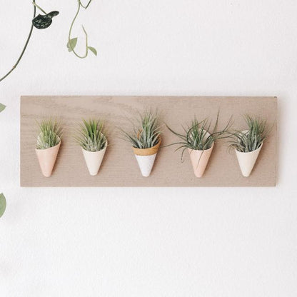 Carter + Rose, Horizontal Wall Planter