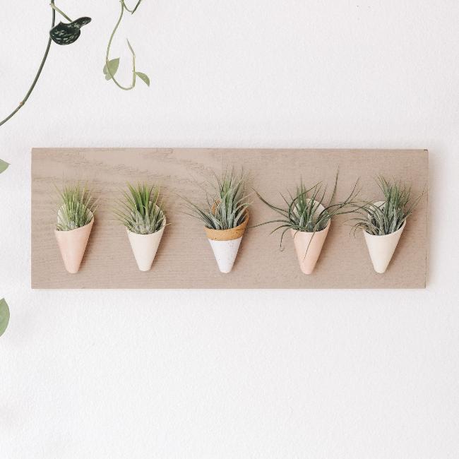 Carter + Rose, Horizontal Wall Planter