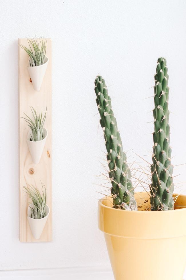 Carter + Rose Ceramic Wall Planter, Triple