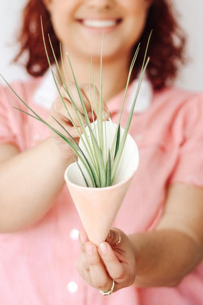 Carter + Rose Ceramic Wall Planter, Medium Cone