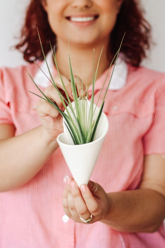 Carter + Rose Ceramic Wall Planter, Medium Cone