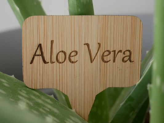 Engraved Bamboo Plant Label