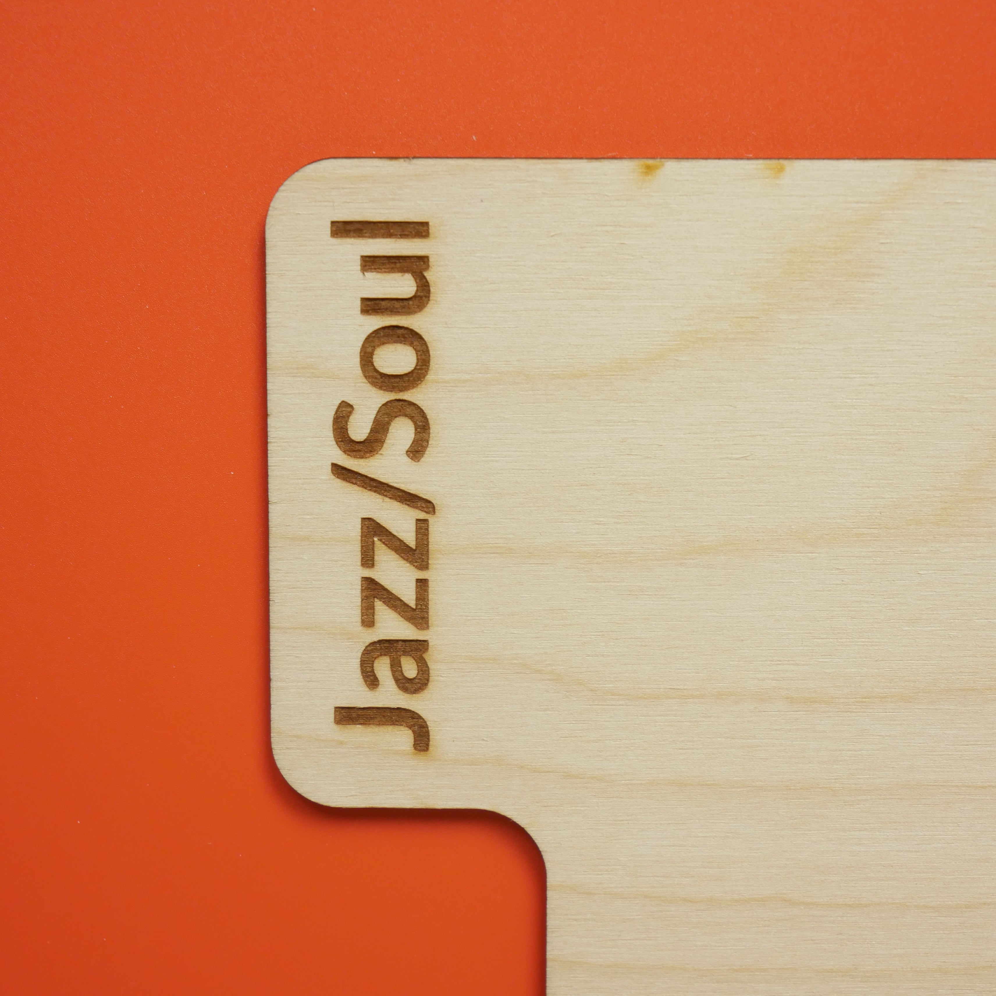 Rounded Vinyl Record Divider Close Up