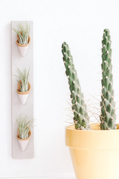 Carter + Rose Ceramic Wall Planter, Triple