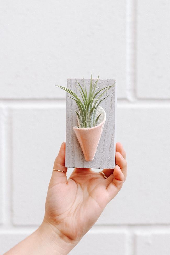 Carter + Rose Ceramic Wall Planter, Tiny