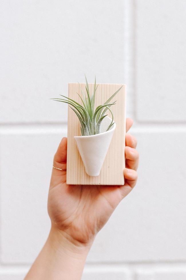 Carter + Rose Ceramic Wall Planter, Tiny