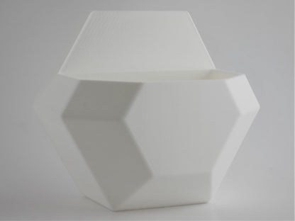 3D Printed Hexagon Wall Planter - 3D Printed - Liminal Goods