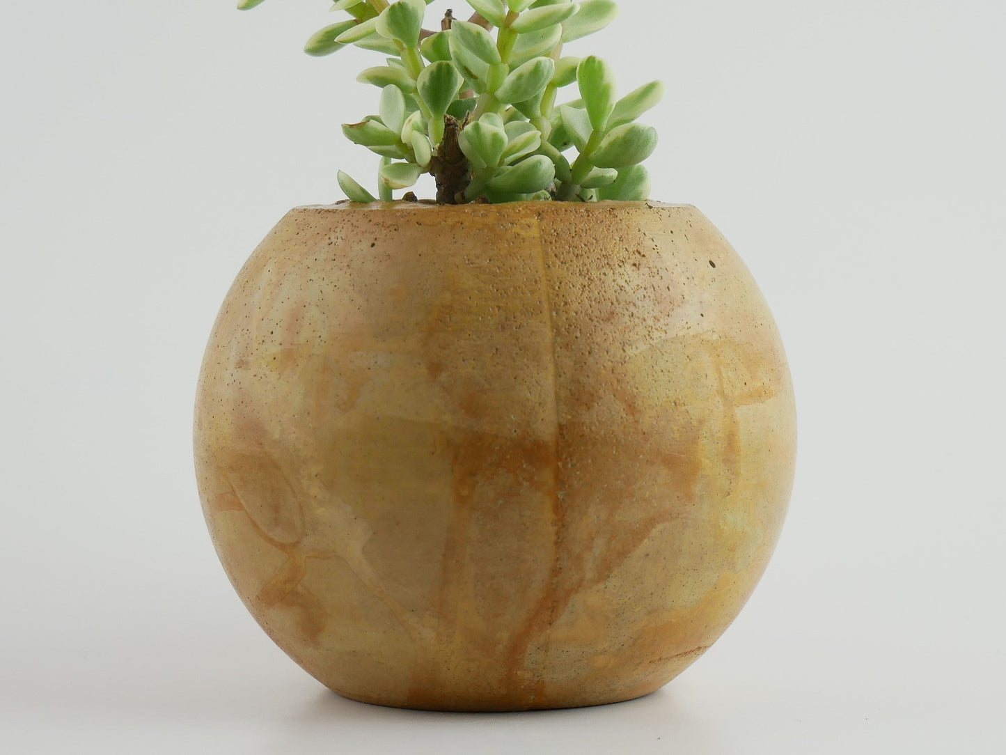 Enkei - Cement Planter - Planter - Liminal Goods