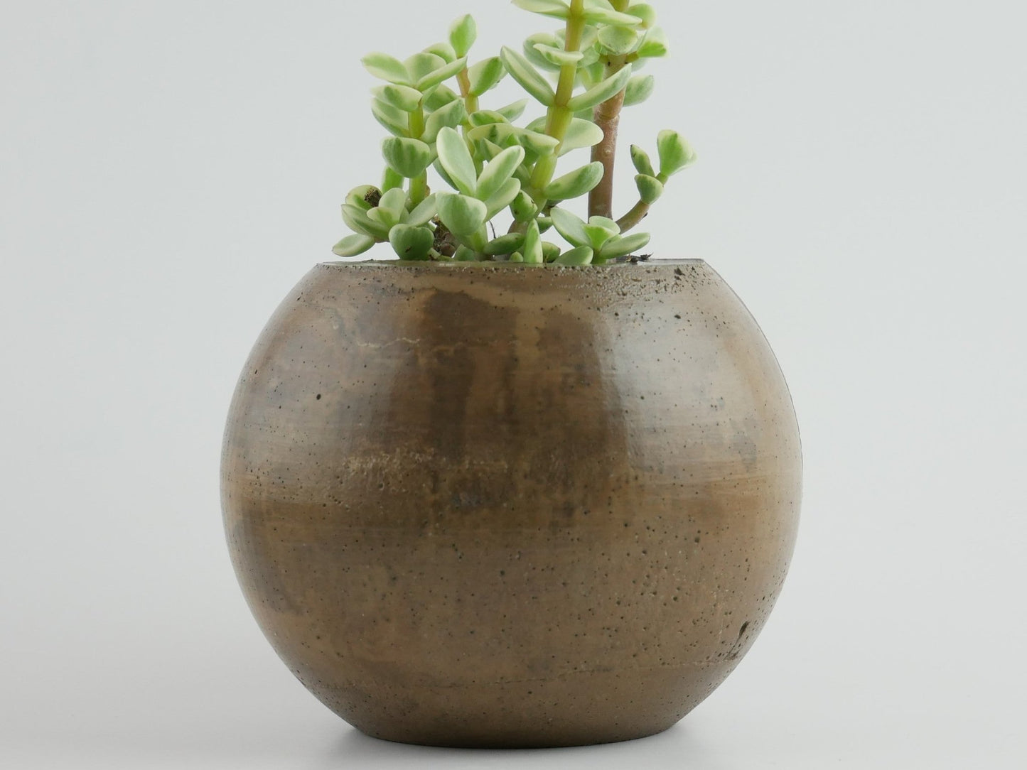 Enkei - Cement Planter - Planter - Liminal Goods