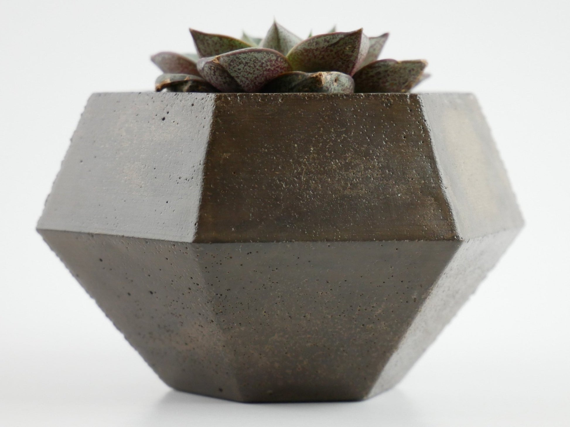 Rokkaku - Cement Planter - Planter - Liminal Goods