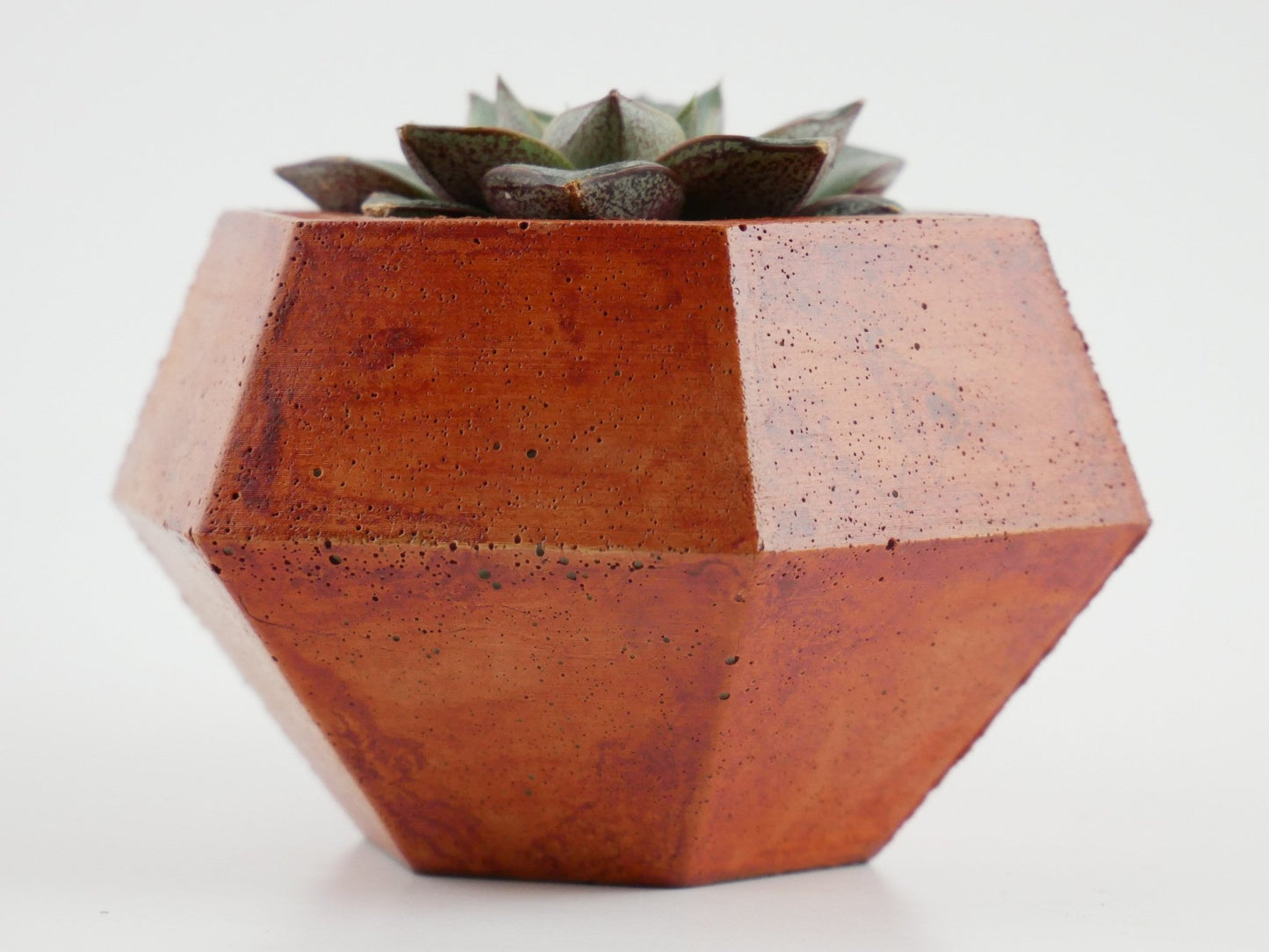 Rokkaku - Cement Planter - Planter - Liminal Goods