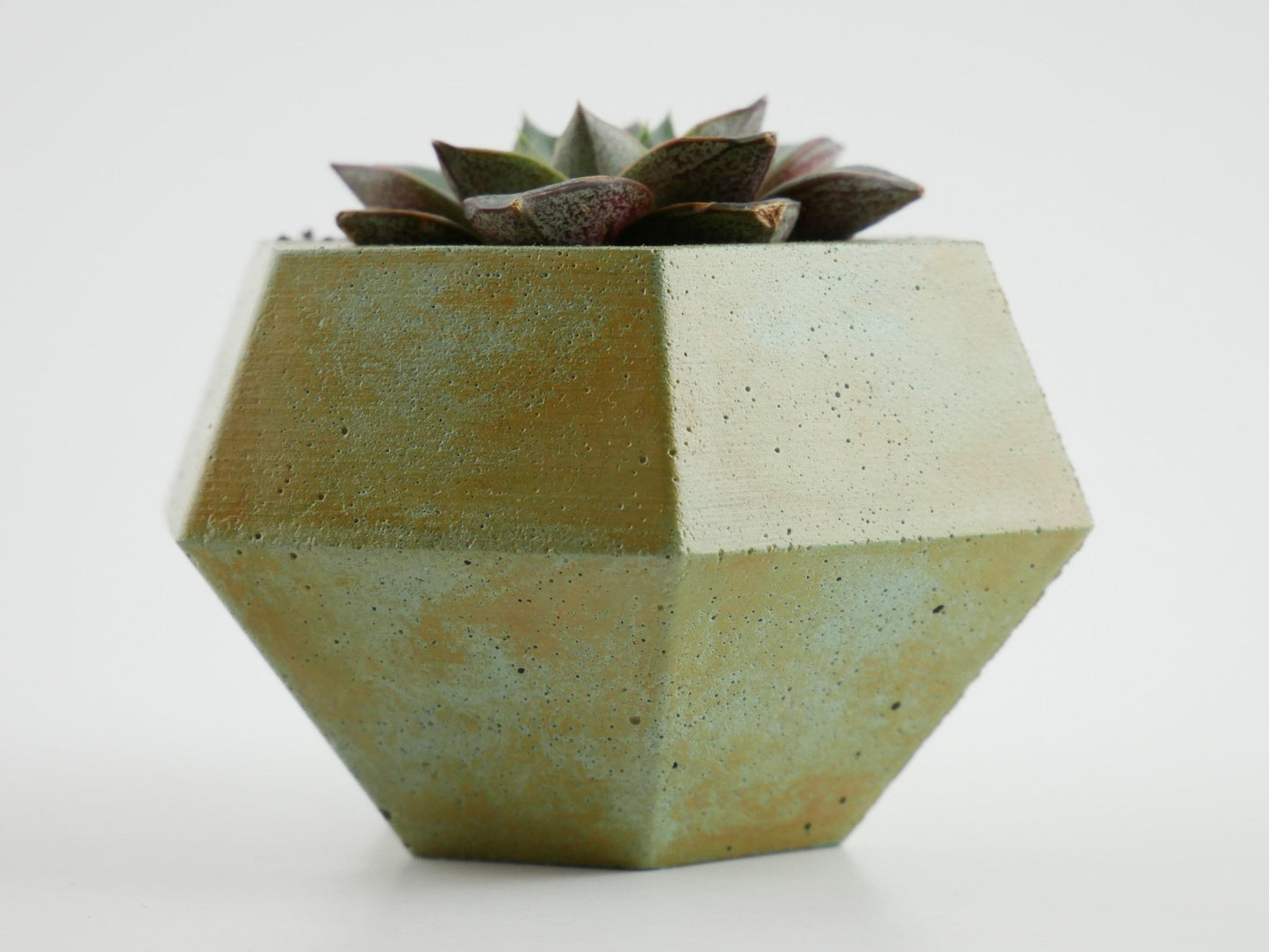 Rokkaku - Cement Planter - Planter - Liminal Goods