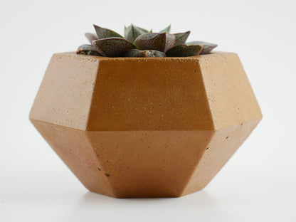 Rokkaku - Cement Planter - Planter - Liminal Goods