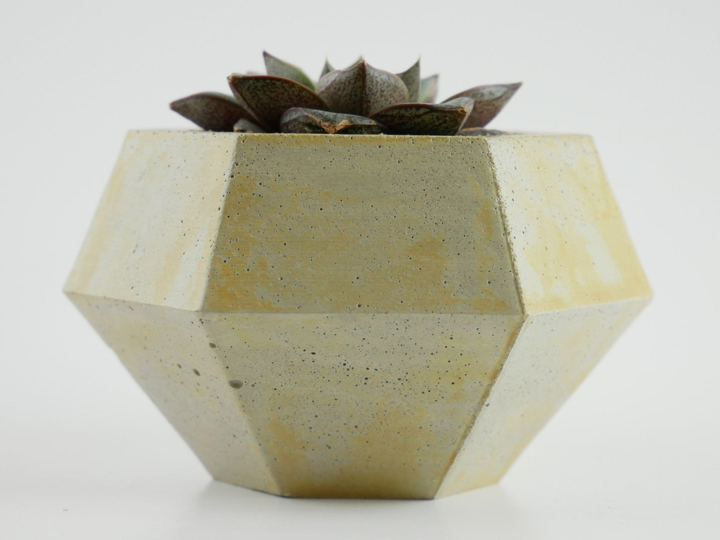 Rokkaku - Cement Planter - Planter - Liminal Goods