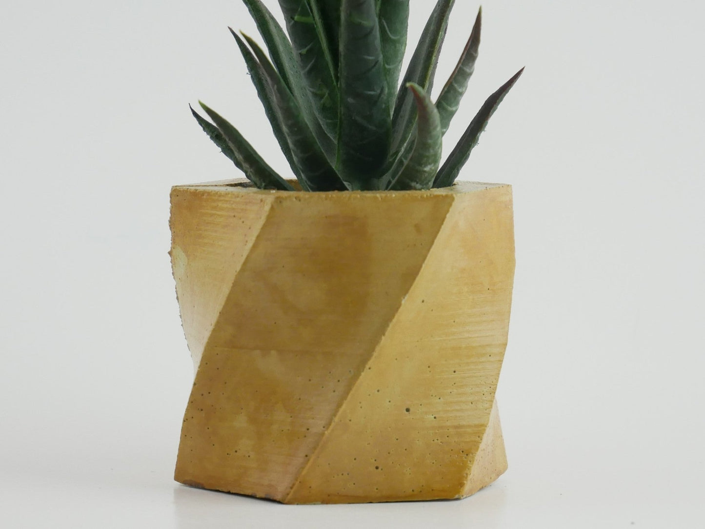 Small Supin - Cement Planter - Planter - Liminal Goods